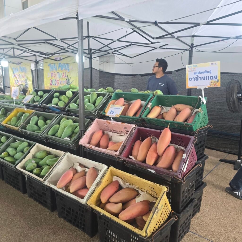 506309864_1124466056382731_4858686031918491110_n-1024x1024 พาณิชย์ "Thai Fruit Festival 2025" ที่สุรินทร์: เกษตรกรยิ้ม ผู้บริโภคได้ผลไม้คุณภาพ
