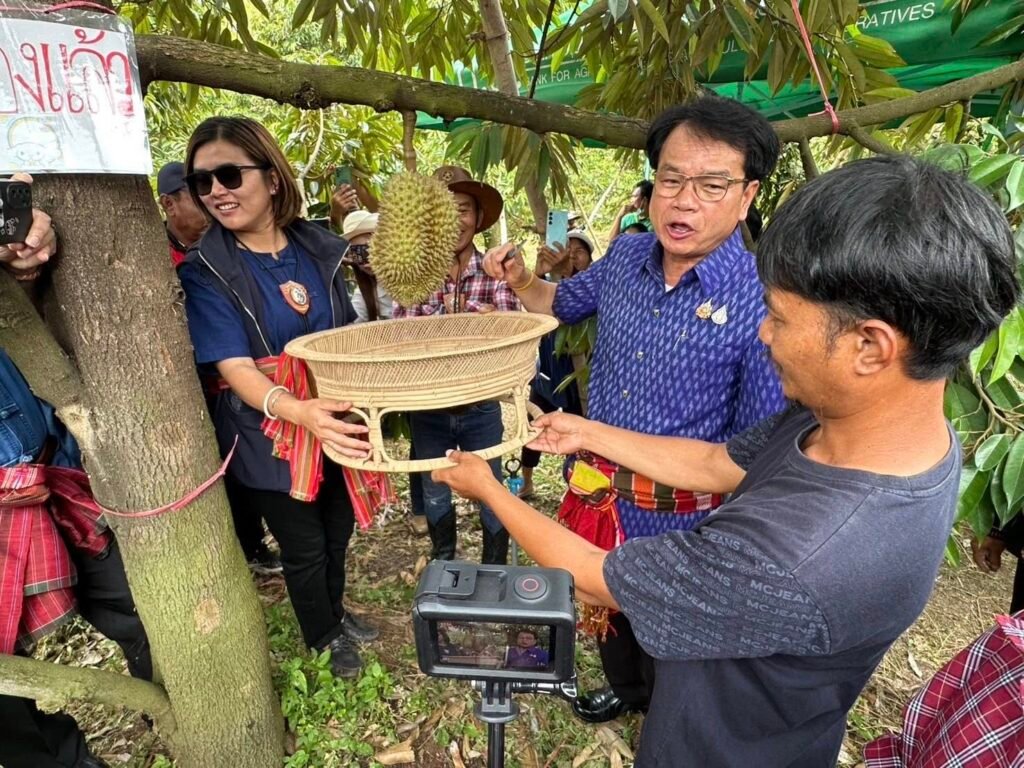 520462501_122143810304637325_5768935539405628723_n-1024x768 ผู้ว่าฯ สุรินทร์ เป็นประธานตัดทุเรียนเจ้าเมืองศรีณรงค์ ส่งเสริมอาชีพเกษตรกรและสร้างมูลค่าทางเศรษฐกิจ