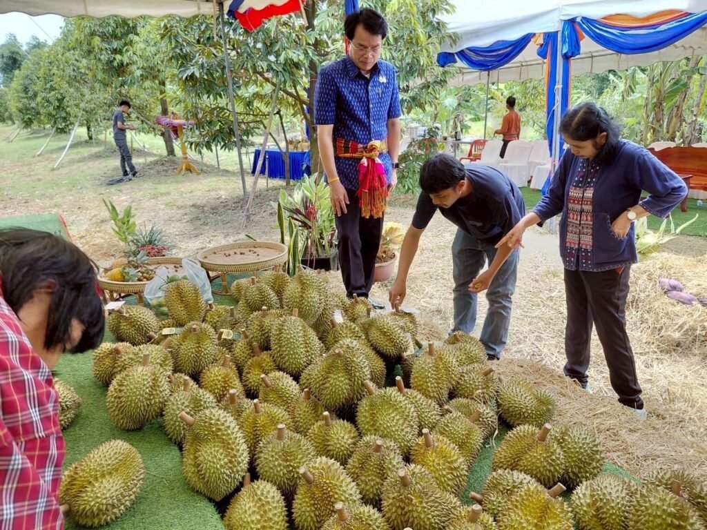 520520575_122143808684637325_6207705288651622961_n-1024x768 ผู้ว่าฯ สุรินทร์ เป็นประธานตัดทุเรียนเจ้าเมืองศรีณรงค์ ส่งเสริมอาชีพเกษตรกรและสร้างมูลค่าทางเศรษฐกิจ