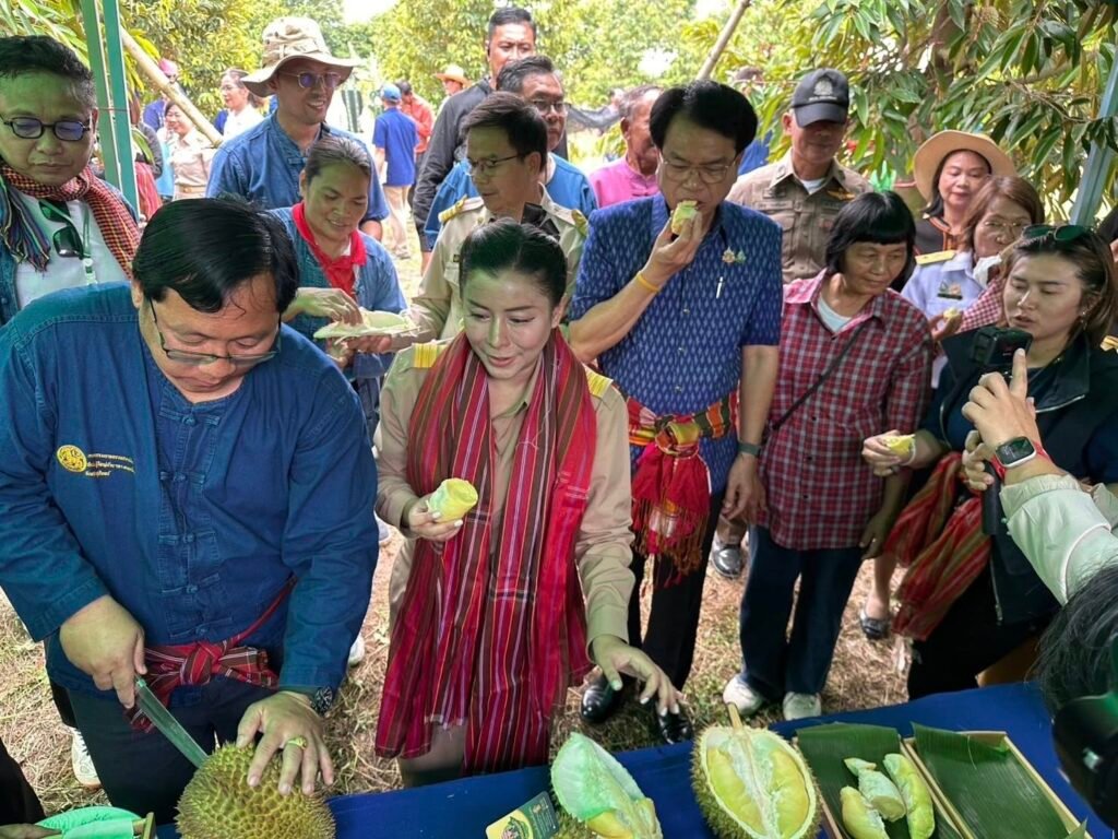520618988_122143811504637325_2671299182944148775_n-1024x768 ผู้ว่าฯ สุรินทร์ เป็นประธานตัดทุเรียนเจ้าเมืองศรีณรงค์ ส่งเสริมอาชีพเกษตรกรและสร้างมูลค่าทางเศรษฐกิจ