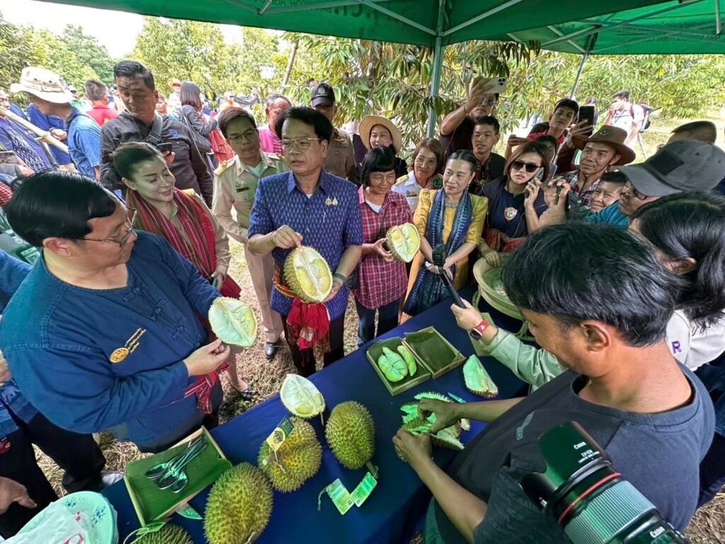 521655045_122143809962637325_6064809804462059412_n-1024x768 ผู้ว่าฯ สุรินทร์ เป็นประธานตัดทุเรียนเจ้าเมืองศรีณรงค์ ส่งเสริมอาชีพเกษตรกรและสร้างมูลค่าทางเศรษฐกิจ
