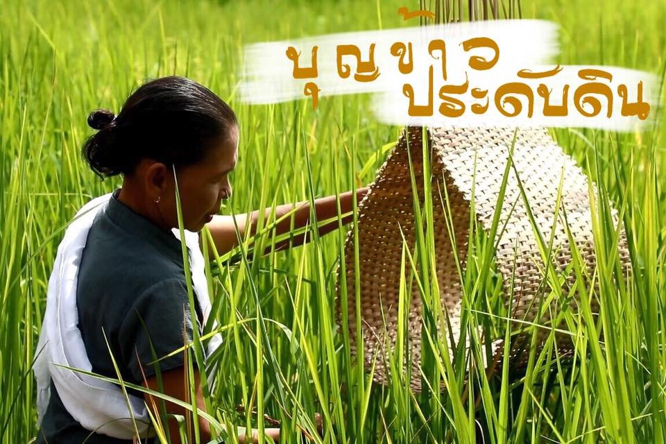 42526121_2048032131906215_4817310150408798208_n ประเพณีบุญข้าวประดับดิน : มรดกอีสานแห่งการอุทิศส่วนกุศลสู่ผู้ล่วงลับ