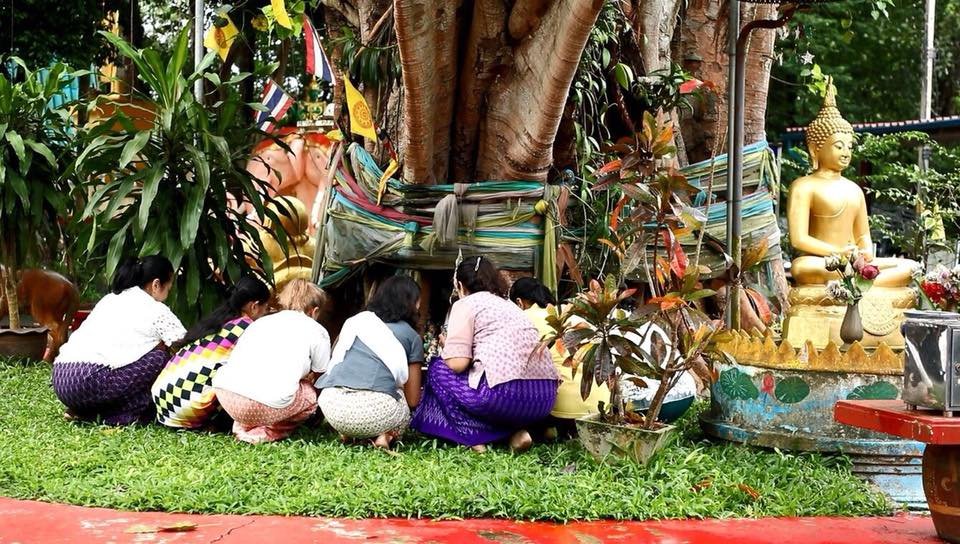 42596469_2048032108572884_7190218889265938432_n ประเพณีบุญข้าวประดับดิน : มรดกอีสานแห่งการอุทิศส่วนกุศลสู่ผู้ล่วงลับ