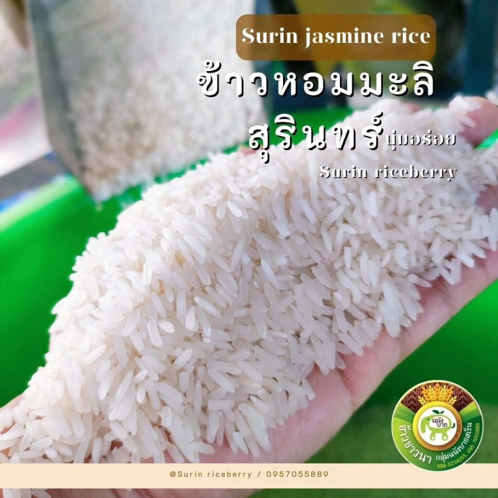 476117807_922492846718616_3452702960535293495_n-1024x1024 มันเกิดขึ้นแล้ว! ข้าวไทยแพ้เวียดนามเต็มตัว