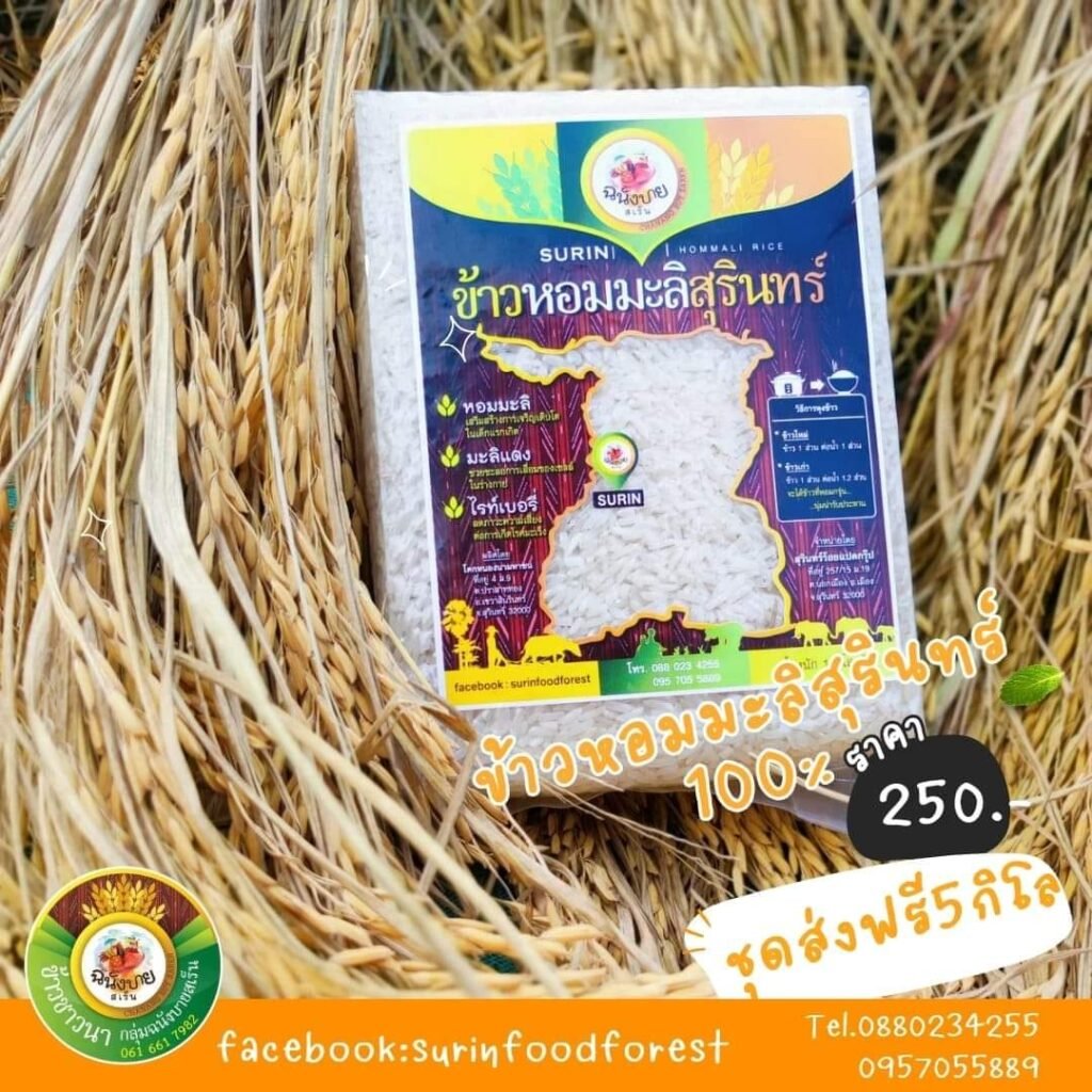 476369578_922492873385280_1640129748675957130_n-1024x1024 มันเกิดขึ้นแล้ว! ข้าวไทยแพ้เวียดนามเต็มตัว