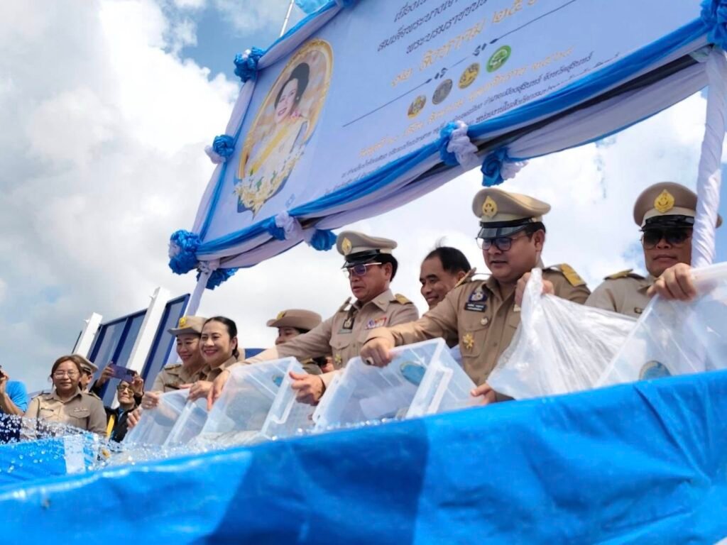 536189355_122147231000637325_4829550101050840164_n-1024x768 จังหวัดสุรินทร์จัดพิธีปล่อยพันธุ์สัตว์น้ำ 200,094 ตัว เฉลิมพระเกียรติ สมเด็จพระนางเจ้าสิริกิติ์ พระบรมราชินีนาถ พระบรมราชชนนีพันปีหลวง เนื่องในโอกาสวันเฉลิมพระชนมพรรษา