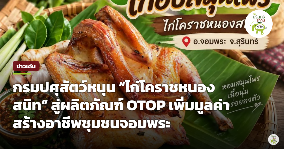 กรมปศุสัตว์หนุนแปรรูป “ไก่โคราชหนองสนิท” จอมพระ สู่ OTOP ยกระดับรายได้ทะลุ 1.18 ล้านต่อเดือน