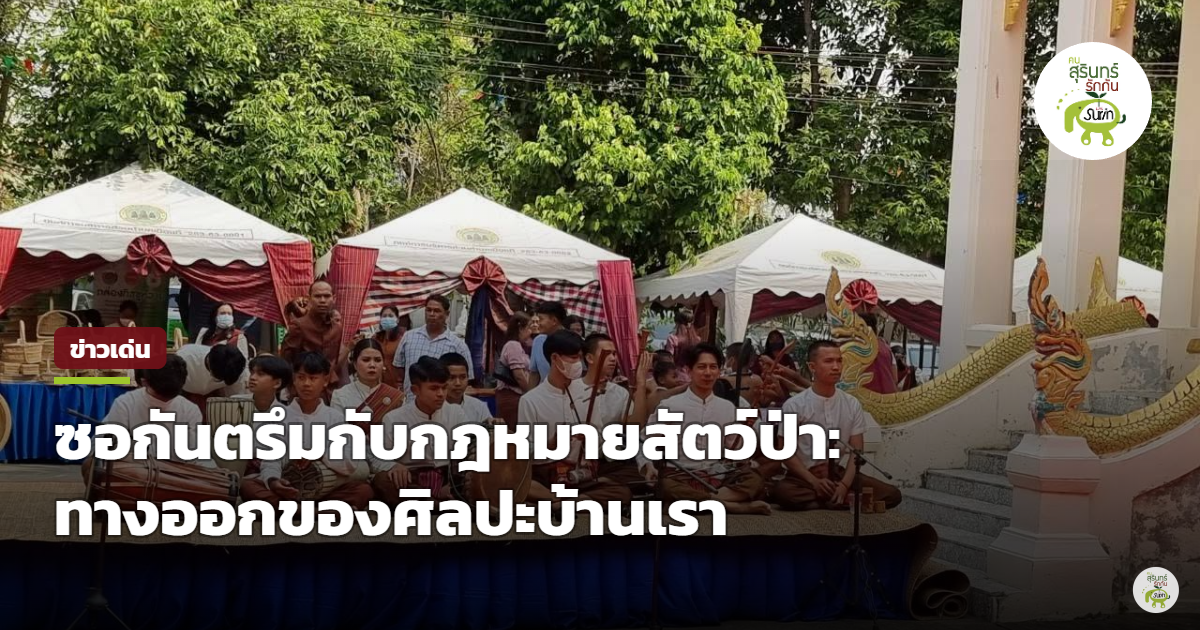 ช่างทำซอกันตรึม อ.ปราสาท ถูกจับของกลาง 84 รายการ ปมภูมิปัญญาพื้นบ้านชนกฎหมายสัตว์ป่าคุ้มครอง