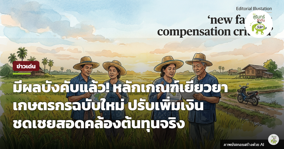 มีผลบังคับใช้แล้ว! รัฐปรับเกณฑ์เยียวยาเกษตรกรฉบับใหม่ 2569 เพิ่มเงินชดเชยนาข้าว-พืชไร่สะท้อนต้นทุนจริง