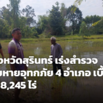 เกษตรสุรินทร์เร่งสำรวจน้ำท่วม 4 อำเภอกว่า 3.8 หมื่นไร่ แจงขั้นตอนเกณฑ์เยียวยาเกษตรกร