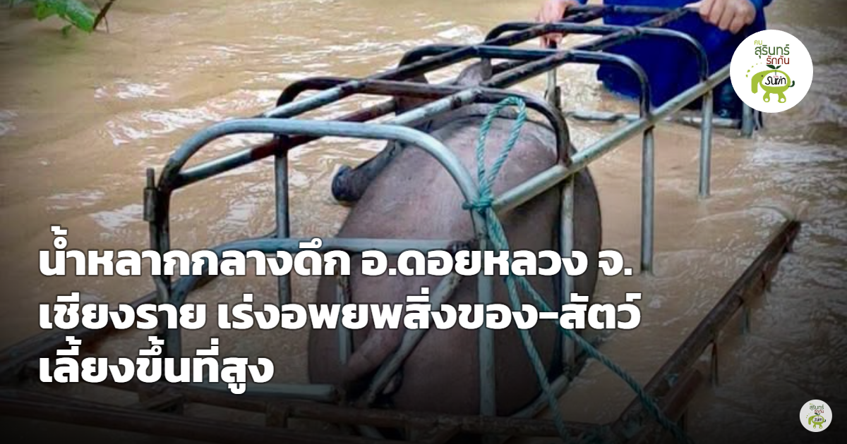 น้ำหลากกลางดึก! อ.ดอยหลวง เชียงราย เร่งอพยพสิ่งของ-สัตว์เลี้ยงขึ้นที่สูง เตือนประชาชนเฝ้าระวัง