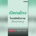 FTA ไทย–EU รอบที่ 10 : เปิดกลโกง โจรสลัดชีวภาพ