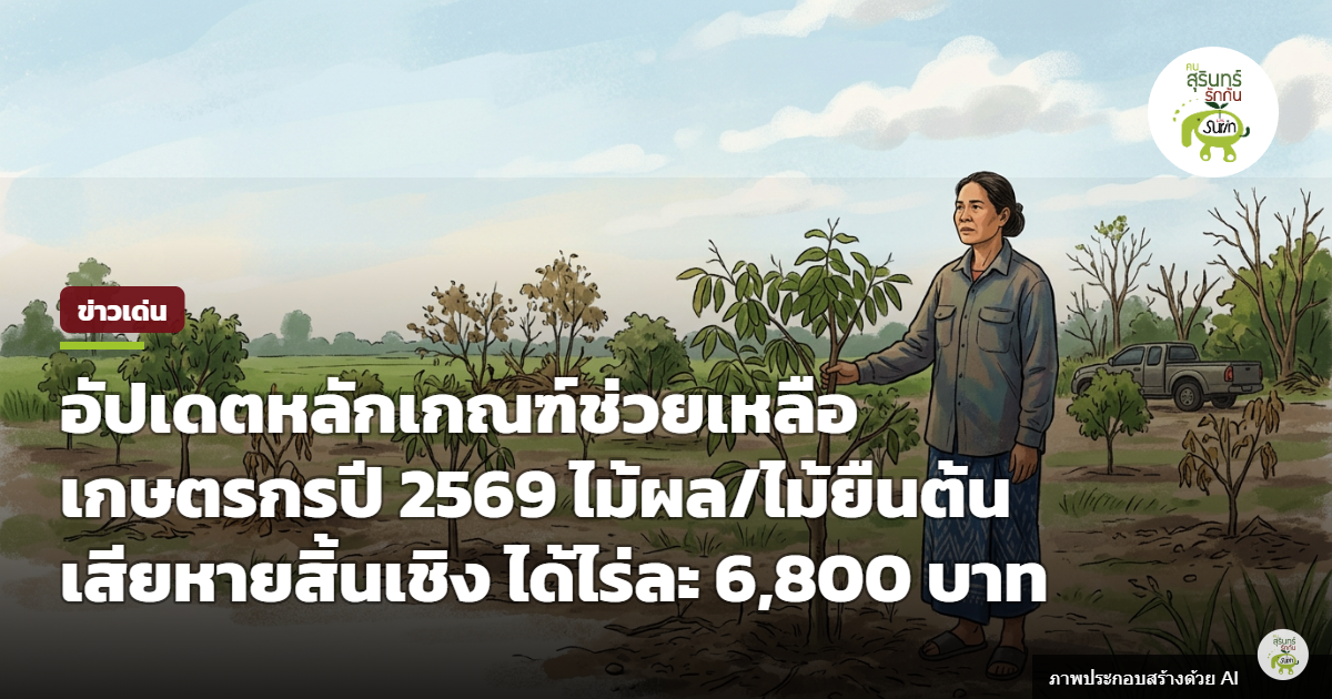 อัปเดตเกณฑ์ใหม่เงินช่วยเหลือเกษตรกรปี 2569 ชดเชยพืชสวนเสียหายสิ้นเชิงไร่ละ 6,800 บาท บังคับใช้แล้ว