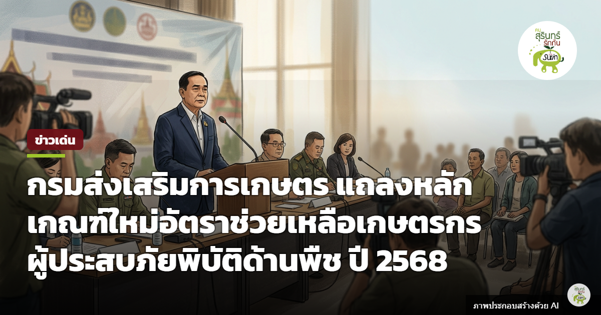 เปิดเกณฑ์ใหม่เงินเยียวยาเกษตรกรภัยพิบัติด้านพืช ปี 2568 เช็กอัตราจ่ายต่อไร่และขั้นตอนรับเงิน