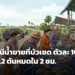 ชาวบัวเชดแห่ซื้อปลานิลหนีน้ำท่วม 1.2 ตัน เกลี้ยงใน 2 ชั่วโมง ราคาเริ่มต้นตัวละ 10 บาท