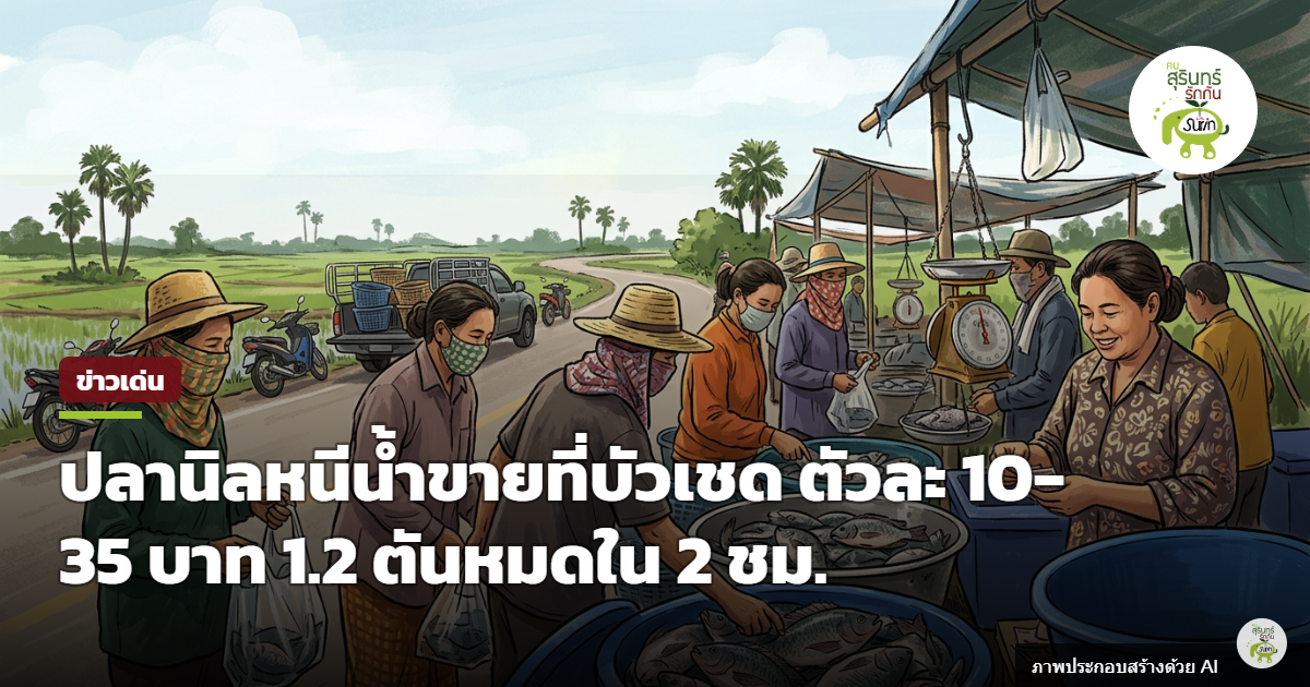 ชาวบัวเชดแห่ซื้อปลานิลหนีน้ำท่วม 1.2 ตัน เกลี้ยงใน 2 ชั่วโมง ราคาเริ่มต้นตัวละ 10 บาท