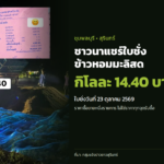 ภาพประกอบข่าว: ชาวนาแชร์ใบชั่งข้าวหอมมะลิสด ชุมพลบุรี กิโลละ 14.40 บาท
