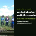 ตาตุมพบมันสำปะหลังเน่า อบต.ร่วมเกษตรสังขะลงพื้นที่ตรวจแปลง