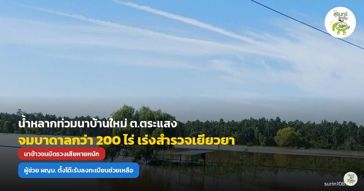 น้ำหลากท่วมนาข้าวบ้านใหม่ ต.ตระแสง จมบาดาลกว่า 200 ไร่! ผู้ช่วย ผญบ. เร่งตั้งโต๊ะรับลงทะเบียนสำรวจความเสียหาย ช่วยเหลือชาวบ้าน