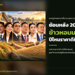 ภาพประกอบข่าว: ย้อนดูราคาข้าวหอมมะลิ ผ่านช่วงรัฐบาล ชาวนาขายได้เท่าไร