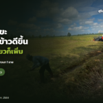 ภาพประกอบข่าว: ชาวนาสังขะมองราคาข้าวดีขึ้น แต่ค่าจ้างรถเกี่ยวขยับ