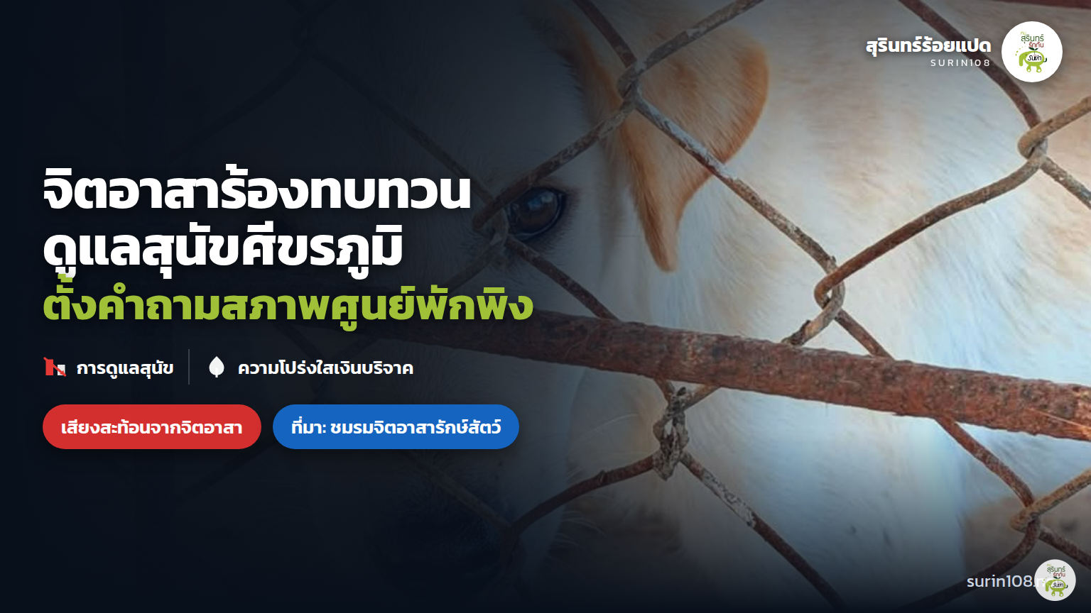 ภาพประกอบข่าว: จิตอาสาร้องทบทวนดูแลสุนัขศูนย์พักพิงศีขรภูมิ ตั้งคำถามเงินบริจาค