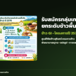 ภาพประกอบข่าว: ศูนย์วิจัยข้าวสุรินทร์ รับสมัครกลุ่มเกษตรกร ยกระดับข้าวพื้นถิ่น–ข้าว GI ปี 2570
