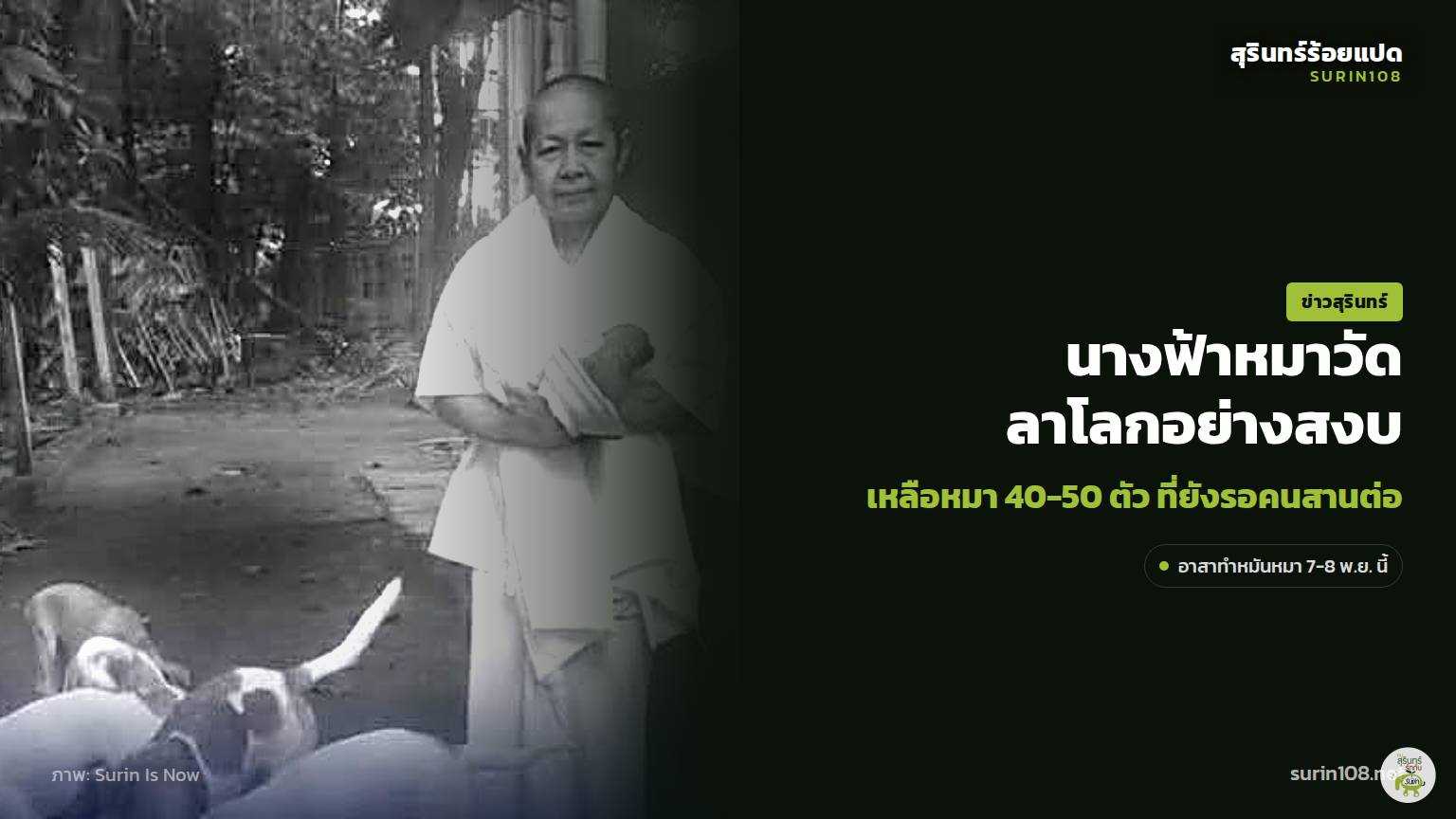 ภาพประกอบข่าว: "นางฟ้าหมาวัด" แม่ชีเอวา ละสังขารอย่างสงบ เหลือหมา 40-50 ตัวที่ยังรอคนสานต่อ
