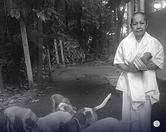 แม่ชีเอวากับหมาที่วัดสง่างาม